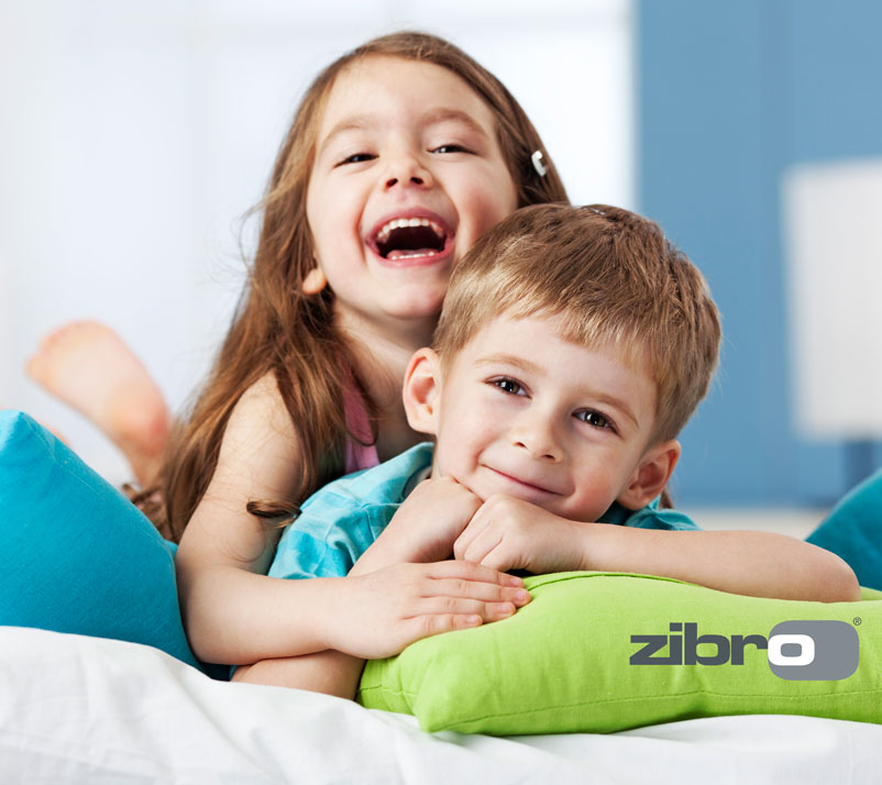 Zibro dehumidifiers - Zibro.com, home made climates